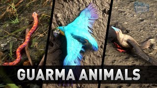 Red Dead Redemption 2  All Guarma Animals Missable [upl. by Gelman298]