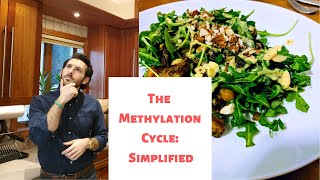 The Methylation Cycle Simplified  MTHFR  Methyl Groups [upl. by Laud]