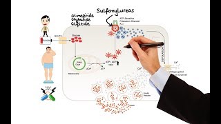 Pharmacology  DRUGS FOR DIABETES MADE EASY [upl. by Najtsirk]