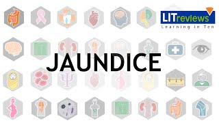 A Clinical Approach to Jaundice [upl. by Manvel74]