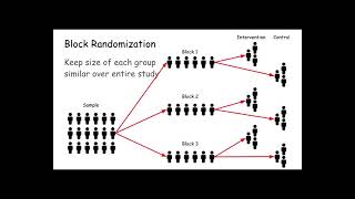 block randomization [upl. by Arries919]