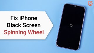 Top 2 Ways to Fix iPhone Spinning Wheel Black Screen Stuck without Data Loss iOS 13 [upl. by Siuraj373]