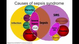 What Is Shock  Shock Pathophysiology  Shock Part 1 [upl. by Dacie]