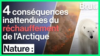 4 conséquences inattendues du réchauffement de lArctique [upl. by Jenkel841]