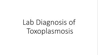 Laboratory Diagnosis of Toxoplasmosis  Parasitology [upl. by Bartlet]