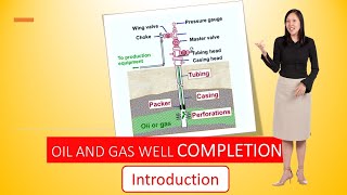 Well Completions  Introduction [upl. by Eserrehs]