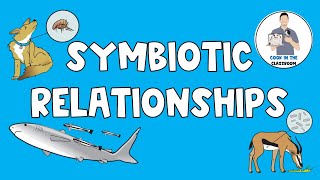 Symbiotic Relationships [upl. by Winn]