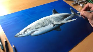 Great White Shark Drawing  Timelapse  Artology [upl. by Bigler726]