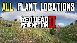 Red Dead Redemption 2  ALL 43 PLANTS amp HERBS LOCATIONS [upl. by Dympha206]