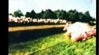 Wolfgang Von Trips Monza 1961 Rare Color Footage Shot By Injured Spectator [upl. by Eileme]