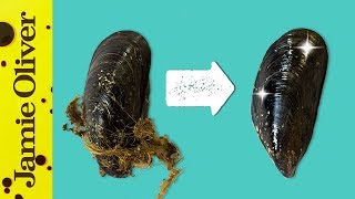 How To Prepare Mussels  1 Minute Tips  Bart’s Fish Tales [upl. by Etnaik]