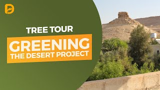 Greening the Desert Tree Tour [upl. by Avid]