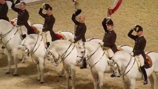 The Spanish Riding School of Vienna 08 [upl. by Hbaruas]