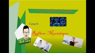 01 Le Reflexe myotatique  Neurophysiologie Bac Tunisie [upl. by Krahmer907]