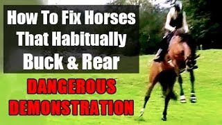 How To Fix Problem Horses That Buck amp Rear  Dangerous Demonstration [upl. by Mclaughlin]