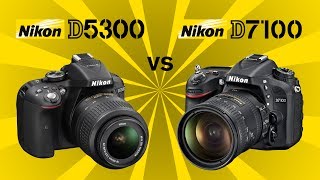 Nikon D5300 vs Nikon D7100 [upl. by Kreindler]