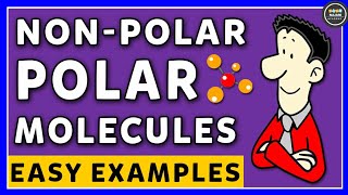 Polar And NonPolar Molecules  Chemistry [upl. by Rubetta]