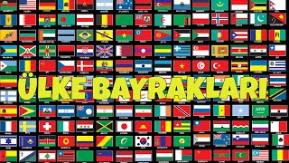 Dünya Bayrakları  1  Ülke Bayrakları  World Flags HD [upl. by Oiragelo481]