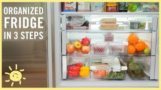 ORGANIZE  Refrigerator [upl. by Schlesinger391]