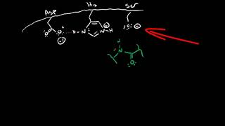 Serine Protease Mechanism [upl. by Alaaj]