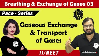 Breathing and Exchange of Gases  03  Gaseous Exchange and Transport of Gases  Class 11 NEET [upl. by Notfa]