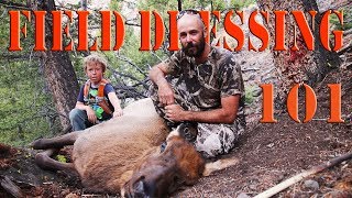 Field Dressing Elk and Deer  Gutless Method [upl. by Odlanir]