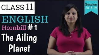 Summary of The Ailing Planet in Hindi  Class 11  hornbill [upl. by Kila299]