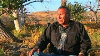 Chief Arvol Looking Horse Speaks of White Buffalo Prophecy [upl. by Yrro]