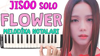 Jisoo Solo FLOWER Melodika Notaları  BLACKPINK [upl. by Monia766]