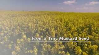 From a Tiny Mustard Seed [upl. by Ailices568]