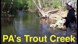 Fishing Pennsylvanias Trout Creek [upl. by Hayotal]