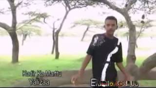 Kadir Martu  Yaa Liizaa Oromo Music [upl. by Leima]