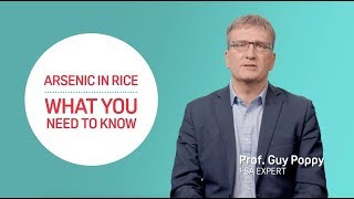 FSA Explains Arsenic in rice [upl. by Maximo]