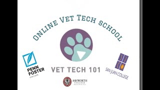 All about Online Vet Tech School [upl. by Yklam]