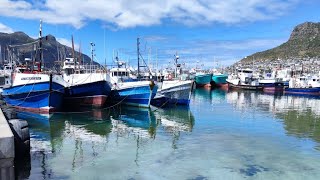 Hout Bay Harbour  SOUTH AFRICA [upl. by Gujral]