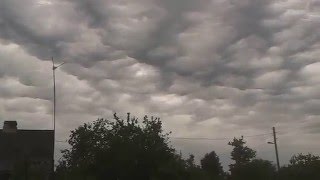 Undulatus Asperatus [upl. by Aiel164]