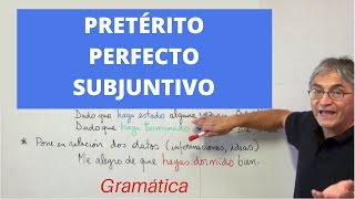 Pretérito perfecto de subjuntivo [upl. by Enirolf791]