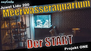 Start Meerwasseraquarium  Die ersten Schritte  Meerwasseraquarium einrichten [upl. by Cida]