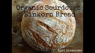 Organic Sourdough Einkorn Bread [upl. by Yrro]