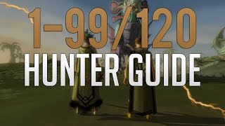 Runescape 3  199120 Hunter guide 20192020 [upl. by Yadrahs]