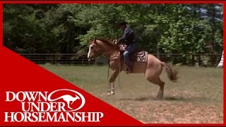 Clinton Anderson Presents Soxie under Saddle [upl. by Frazier]