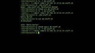 The chmod Command In Linux [upl. by Mannie446]