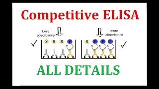 Competitive ELISA [upl. by Lindahl395]