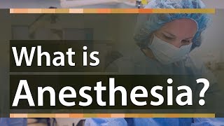 How Anesthesia Works A Comprehensive Guide [upl. by Ailuig526]