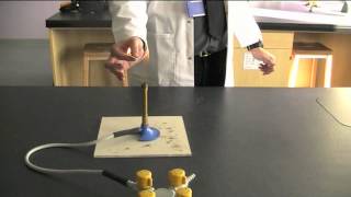 How to light a Bunsen Burner [upl. by Nayt]