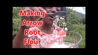 HOW TO MAKE ARROWROOT FLOUR Making Arrowroot Flour  Country Living [upl. by Nivaj]