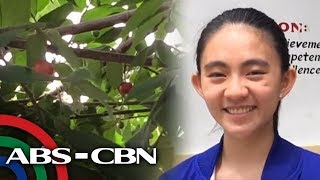 Young scientist finds potential diabetes cure in aratiles  TV Patrol [upl. by Hploda897]