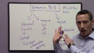 Signs and Symptoms of Vitamin B5 Deficiency [upl. by Linkoski628]