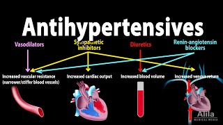 Antihypertensive Medications  Pharmacology Animation [upl. by Ethelbert]