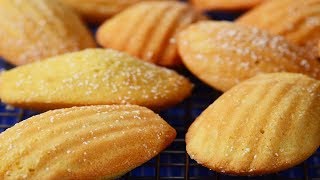 Madeleines Recipe Demonstration  Joyofbakingcom [upl. by Anoblav]